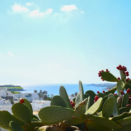 Отель Amperian Mykonos & 4*