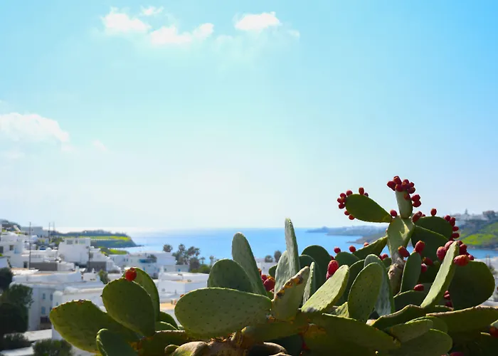 Отель Amperian Mykonos & 4*